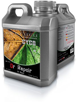 Cyco Dr Repair