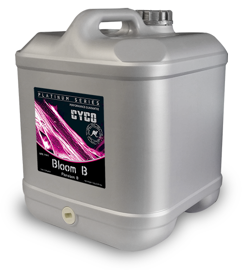 Cyco Bloom B