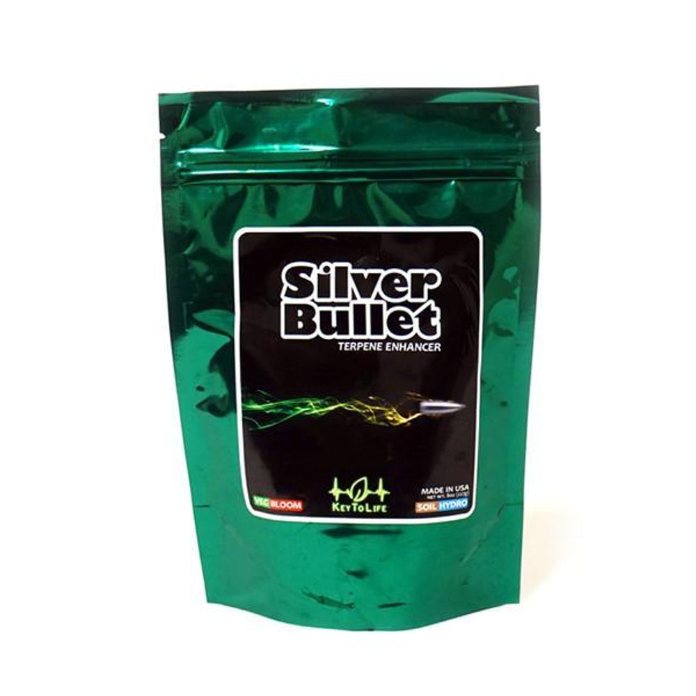 Key to Life Silver Bullet