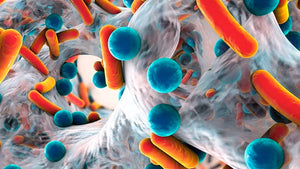 beneficial-microbes-macro-view