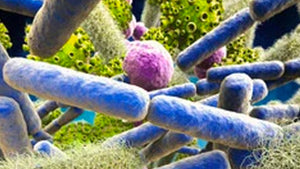 bokashi-microorganisms-macro-image