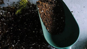 green-scoop-of-soil-spread-on-countertop