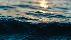 water-in-grow-room-close-up-image
