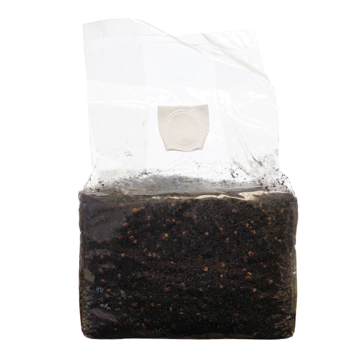 SuperSpore Mushroom Sub Grow Bag 6-7lb