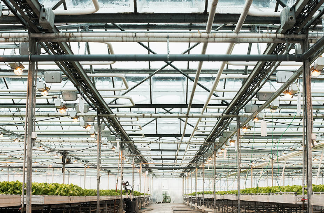 Way To Grow