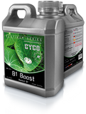Cyco B1 Boost