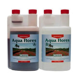 Canna Aqua Flores A